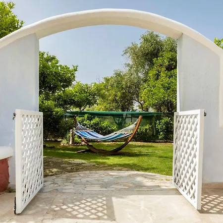 Amelie * Ixia (Rhodes)